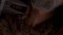 2x09_0477.jpg (42 K)