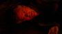 3x12_0941.jpg (37 K)