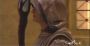 stargate1701.jpg (32 K)