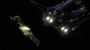 travelers0376.jpg (82 K)